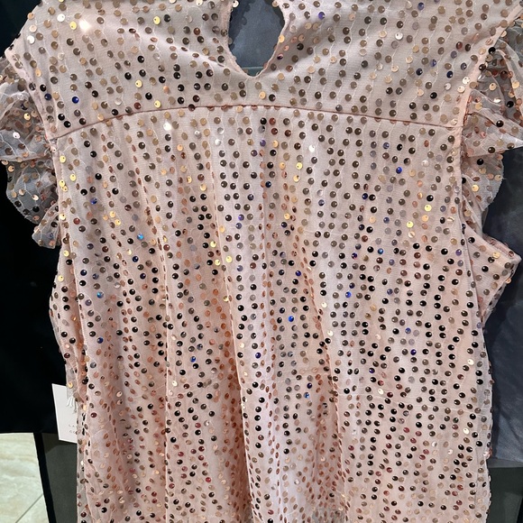 Lauren Conrad Pink Sequin Ruffle Top - Picture 3 of 7